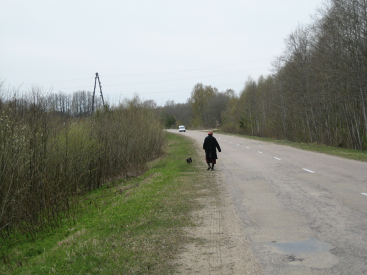 A photo of a rural road flanked by grey-green shrubs on the left and grey trees on the right, with an elderly woman in black walking with a small dog along the grassy verge on the roadside in the middle distance