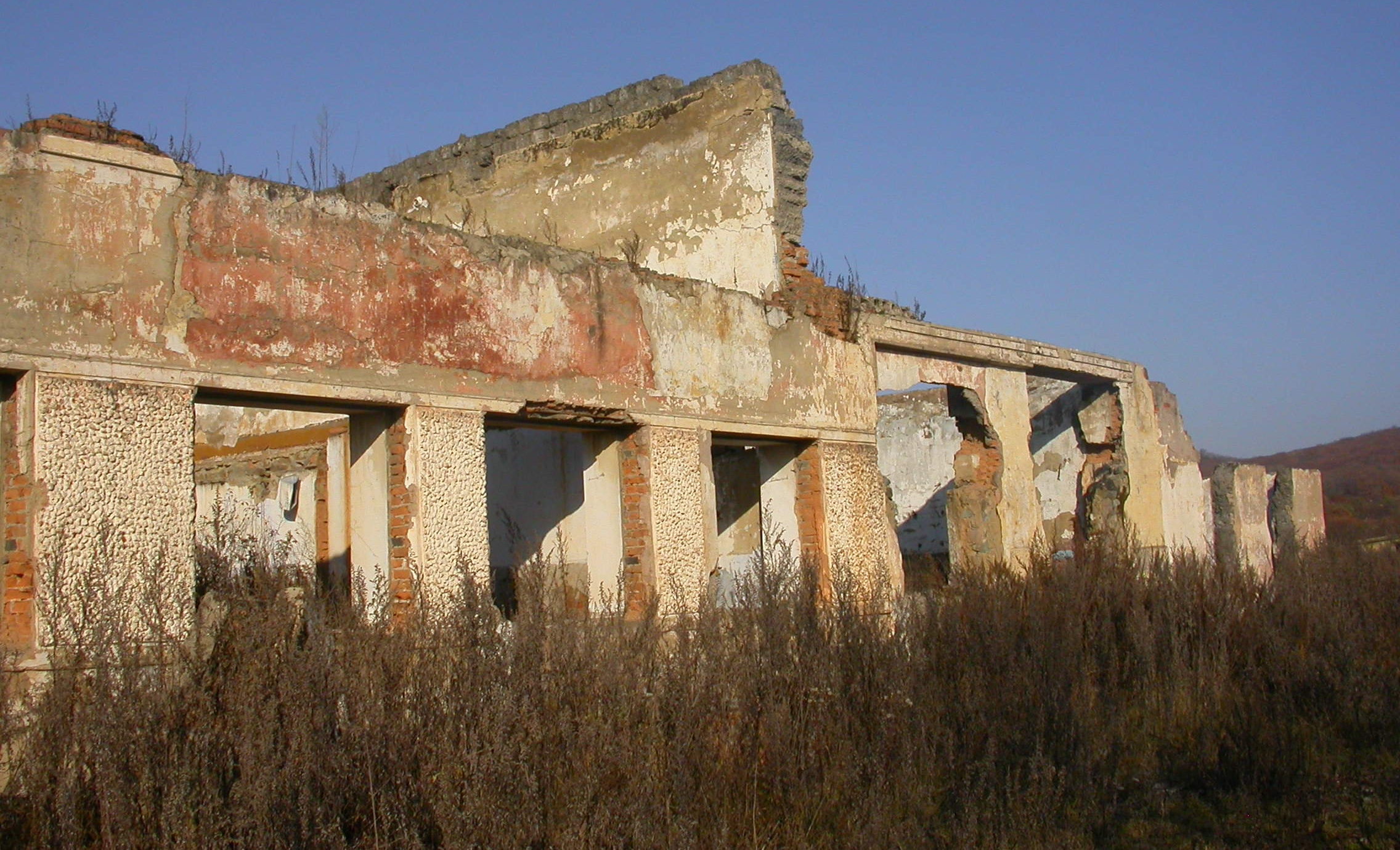 Photo of the remaining brickwork of a large roofless building, with dry brown vegetation in front.